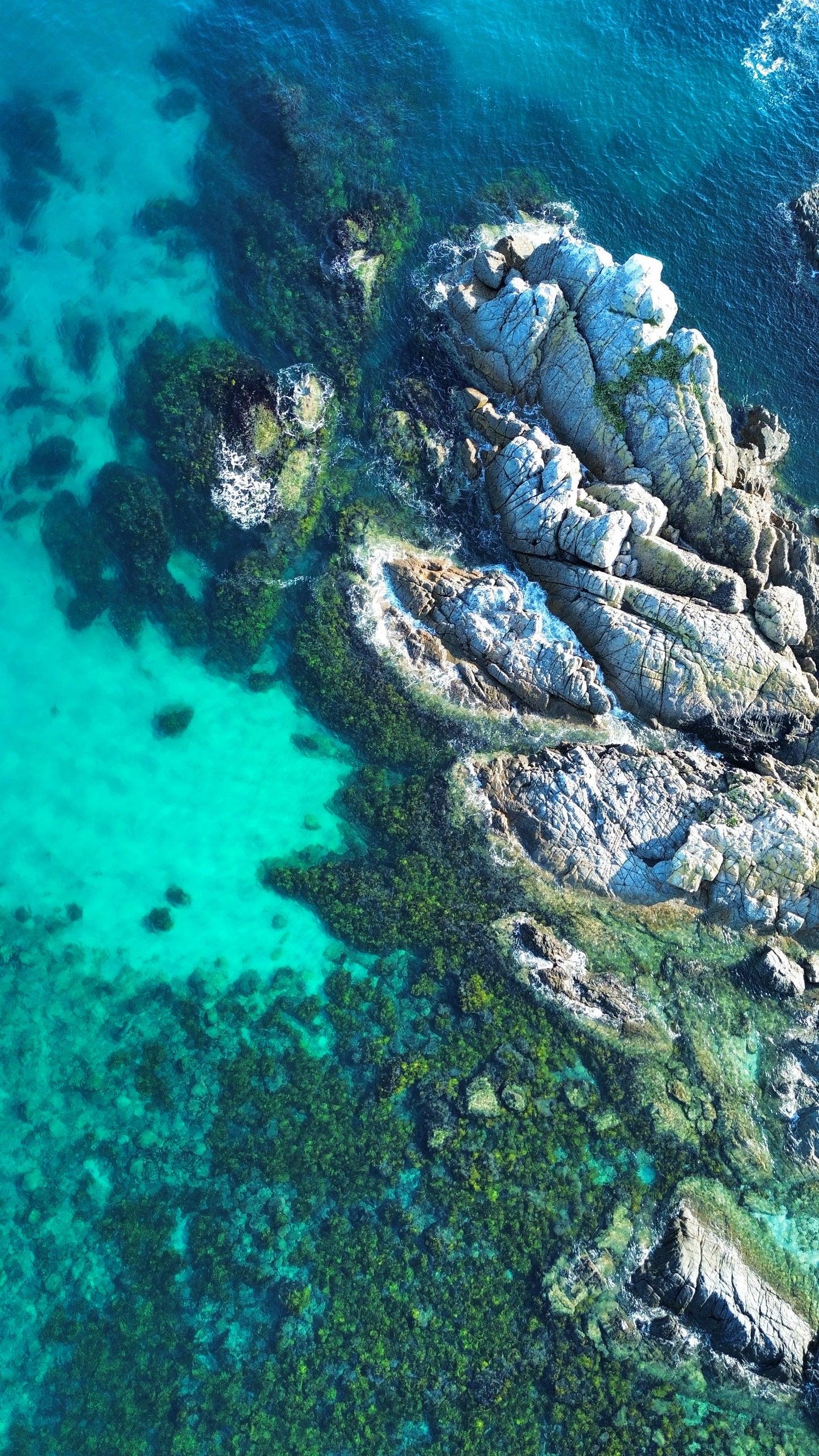 Seal Rocks Snorkel & Yoga - 13th & 20th June 2026