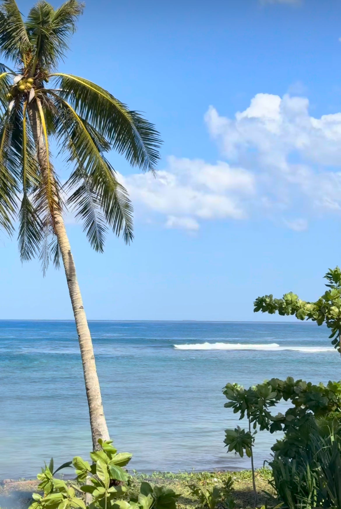 Philippines July 2026 Surf & Freedive Retreat