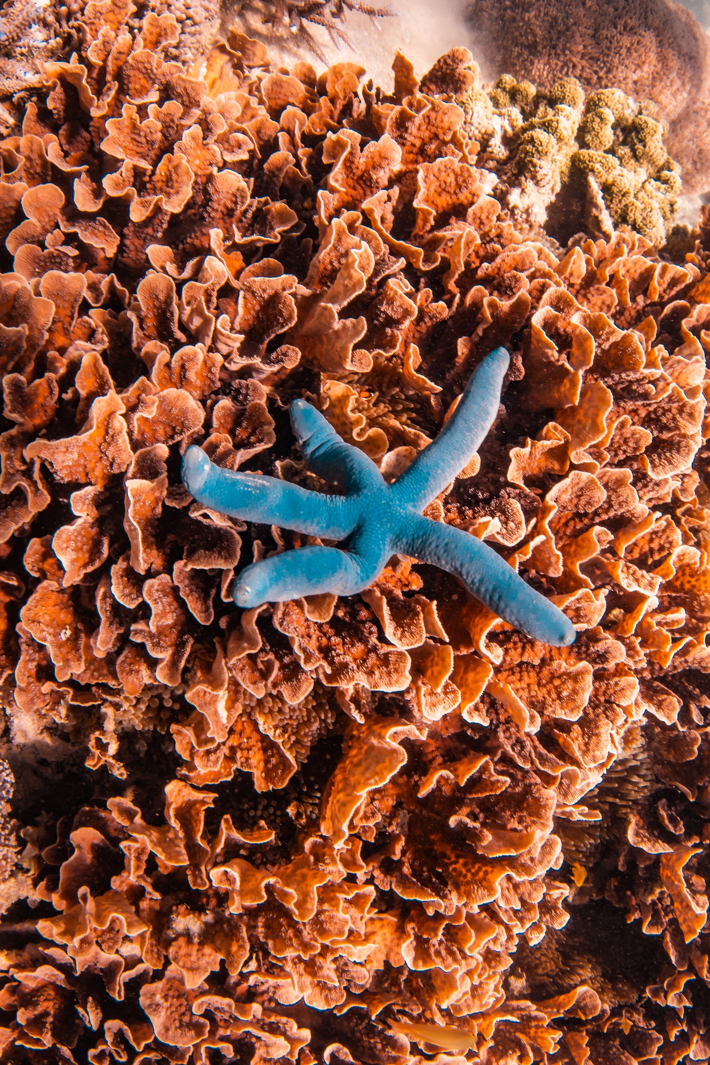 Gili Air & Lombok Island Hopper Retreat