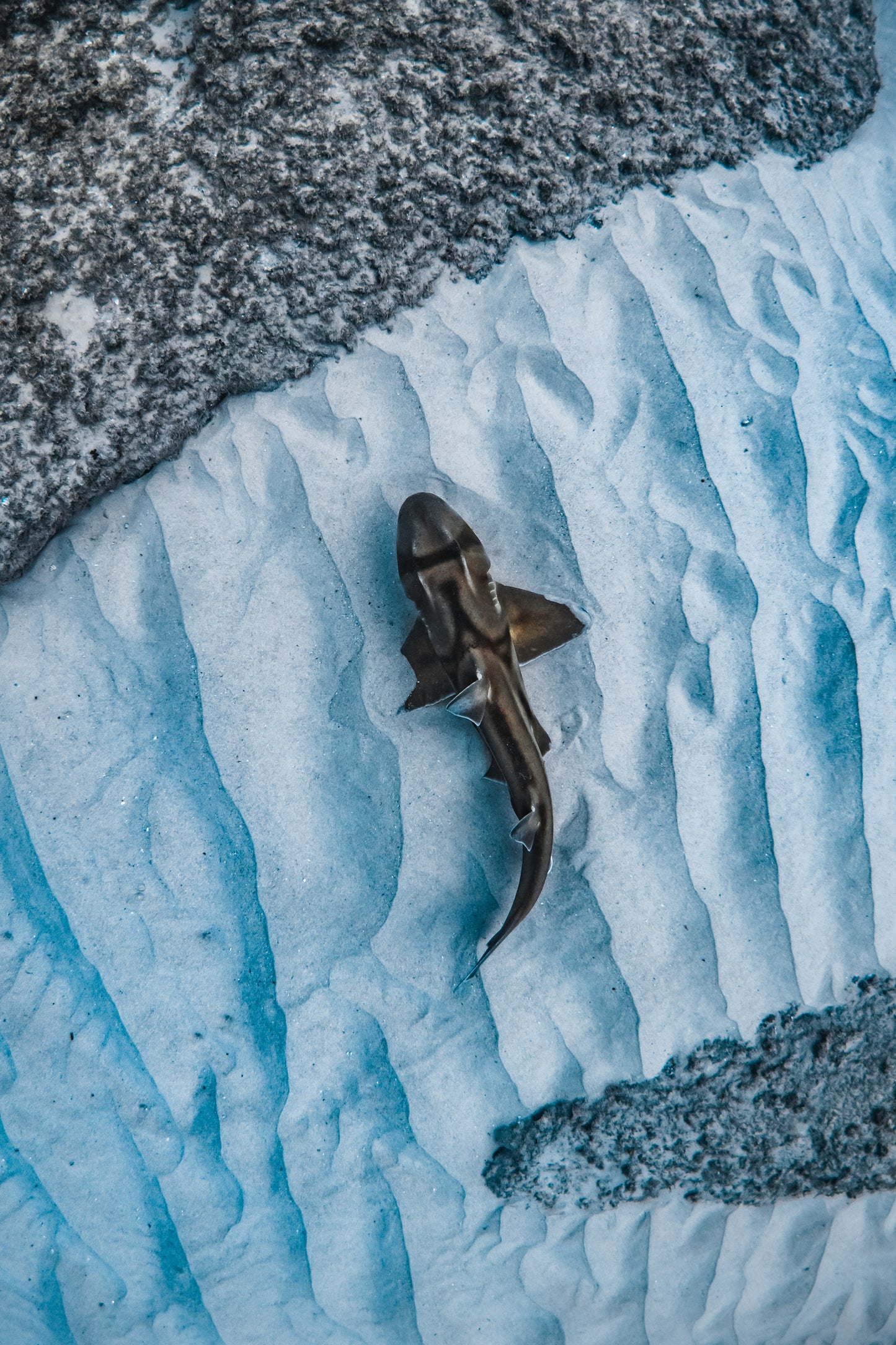 Seal Rocks Women’s Retreat