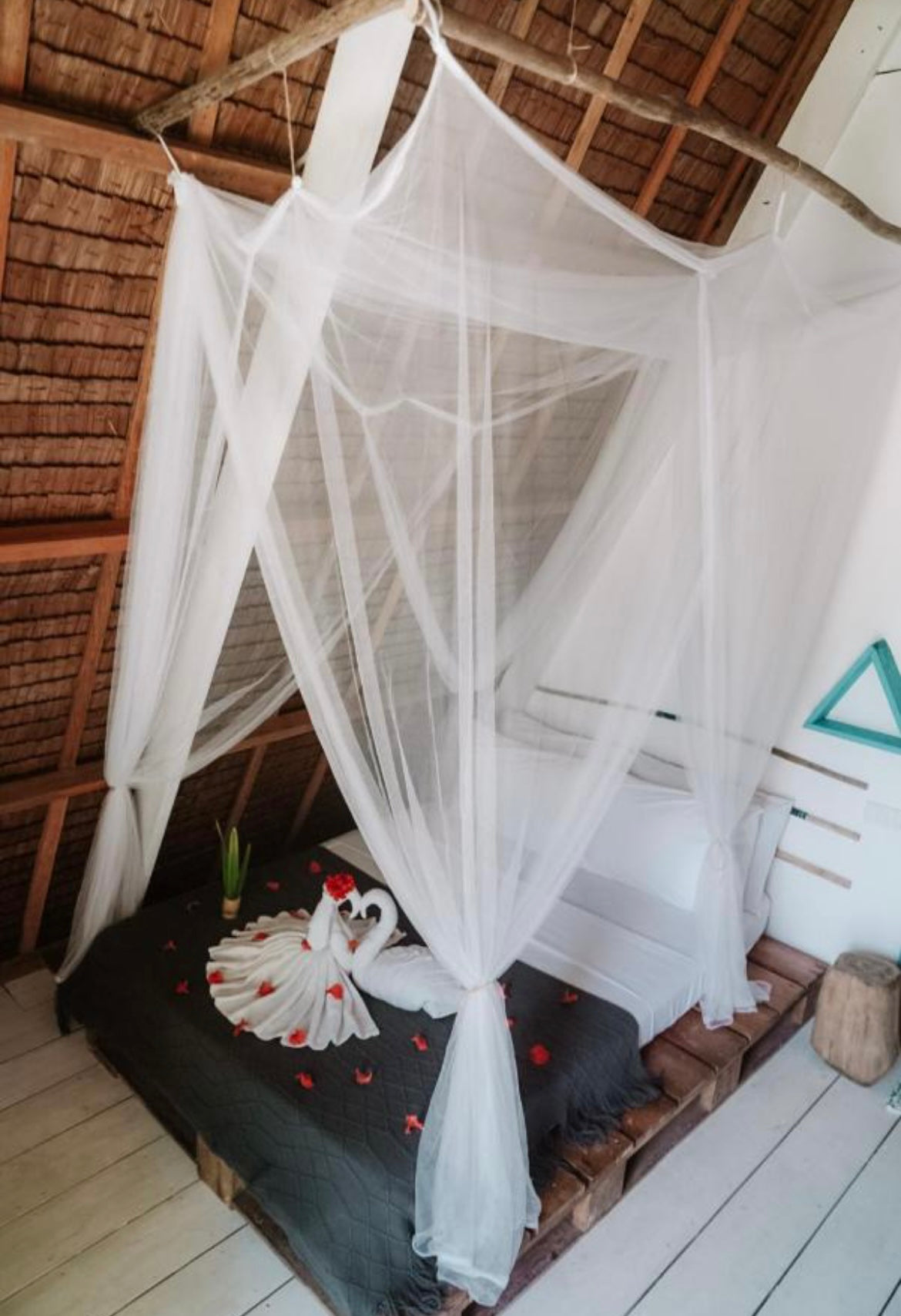 Philippines July 2026 Surf & Freedive Retreat