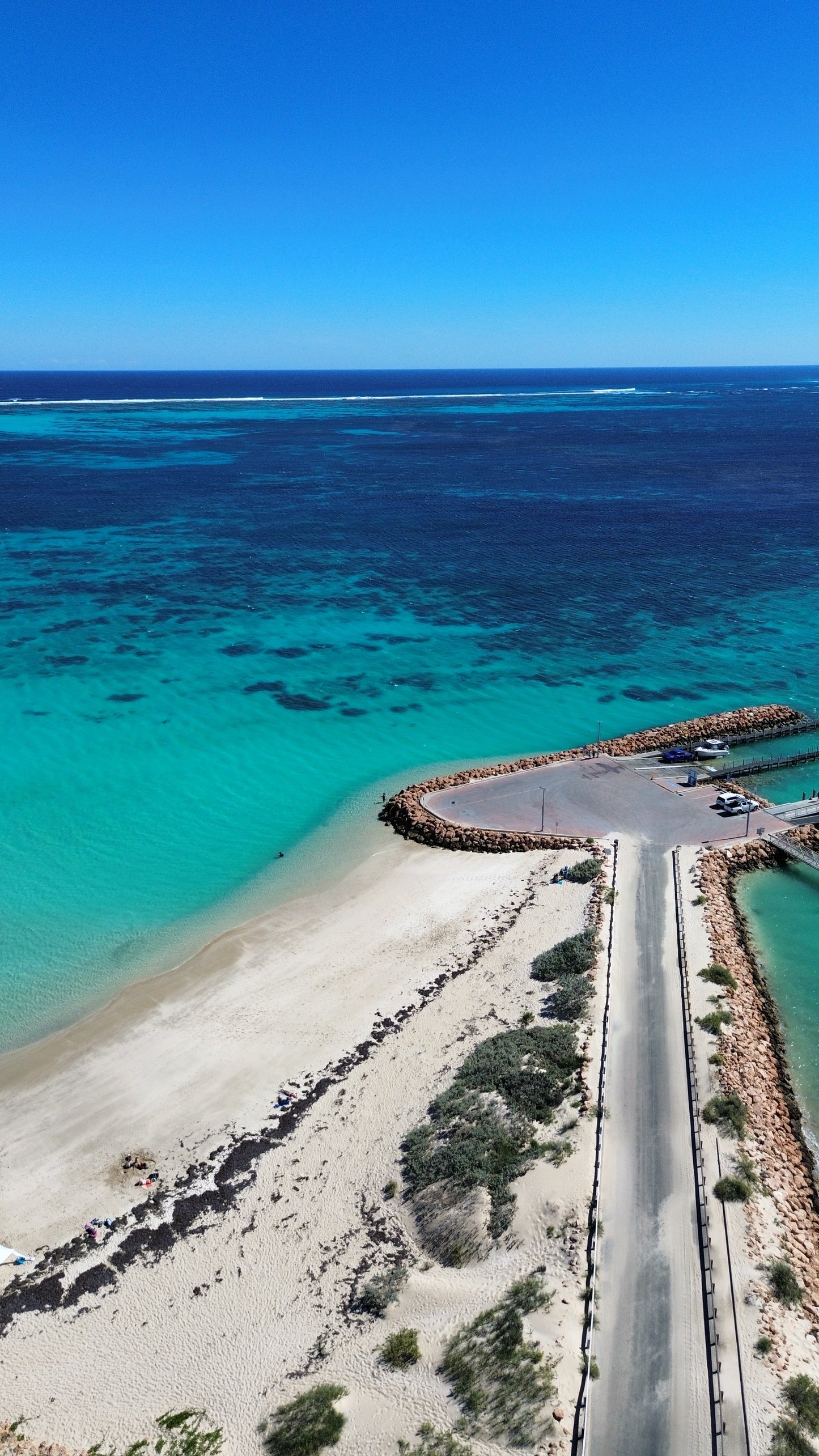 Coral Bay Marine Wildlife Safari