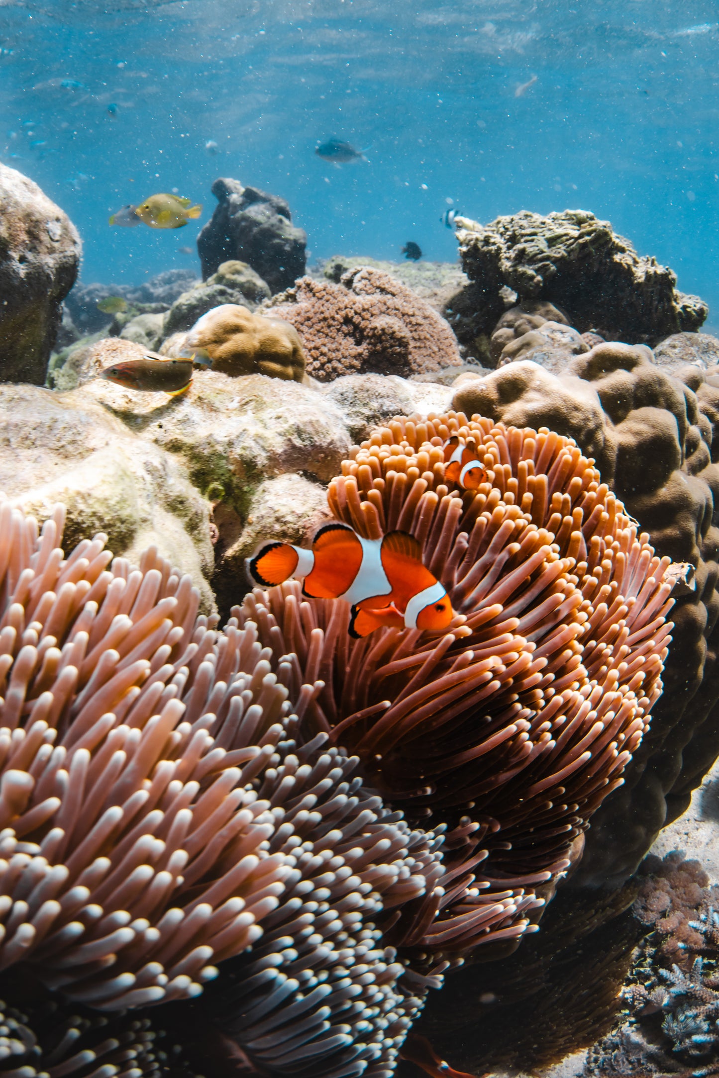 Gili Air & Lombok Island Hopper Retreat