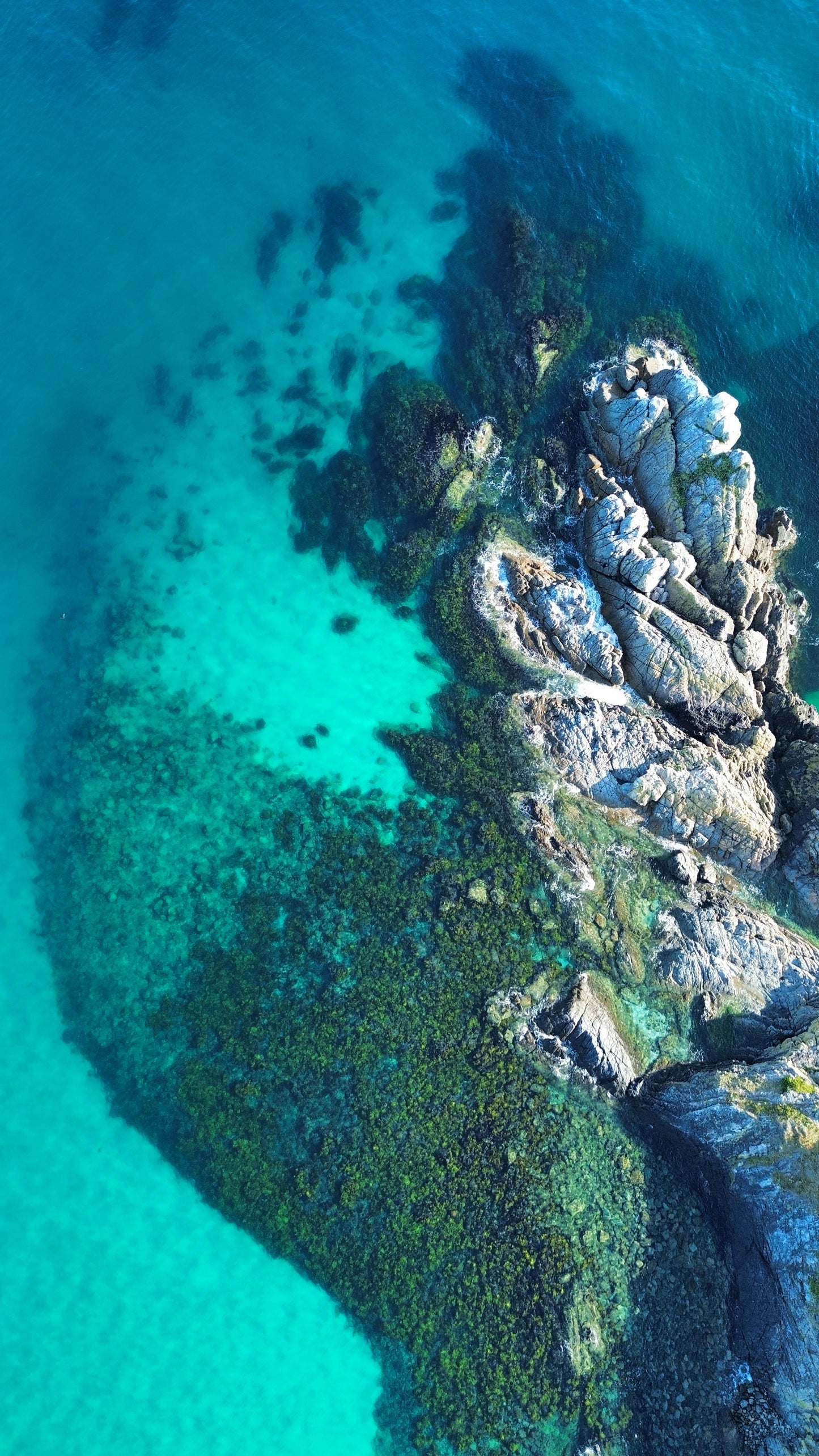 Seal Rocks Snorkel & Yoga - 13th & 20th June 2026