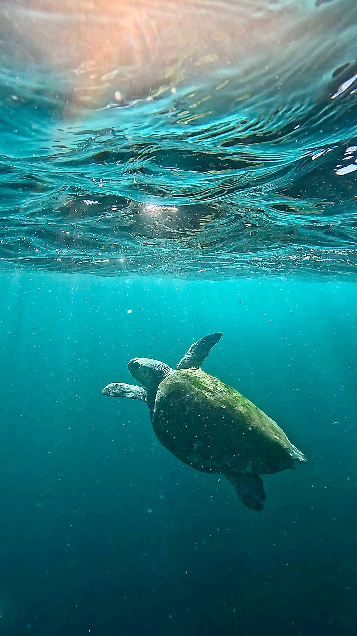Seal Rocks Women’s Retreat