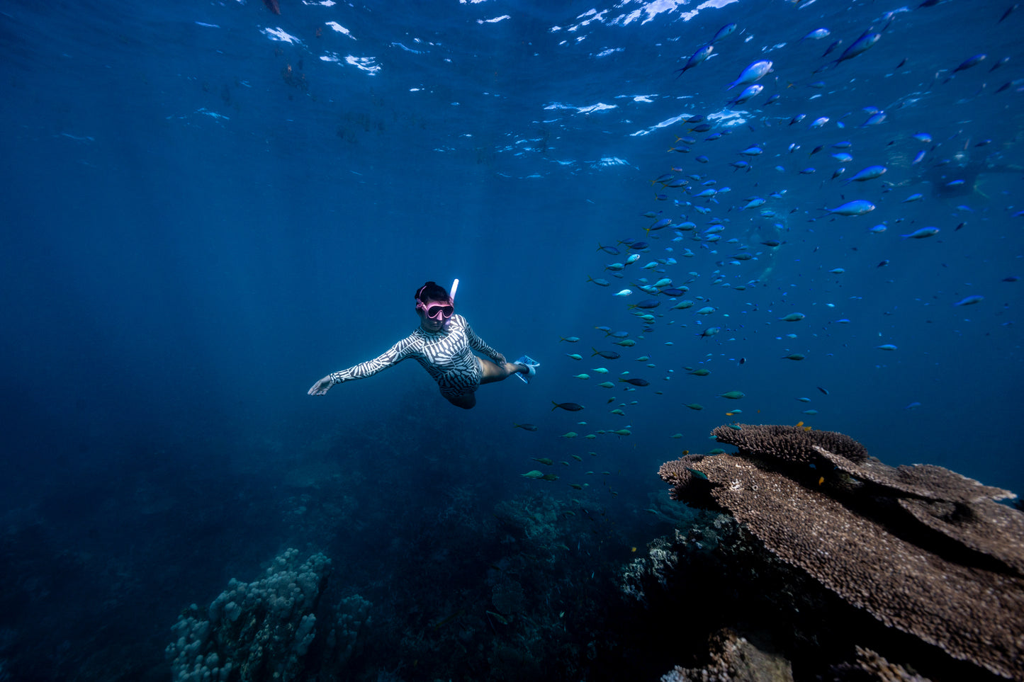 Coral Bay Marine Wildlife Safari