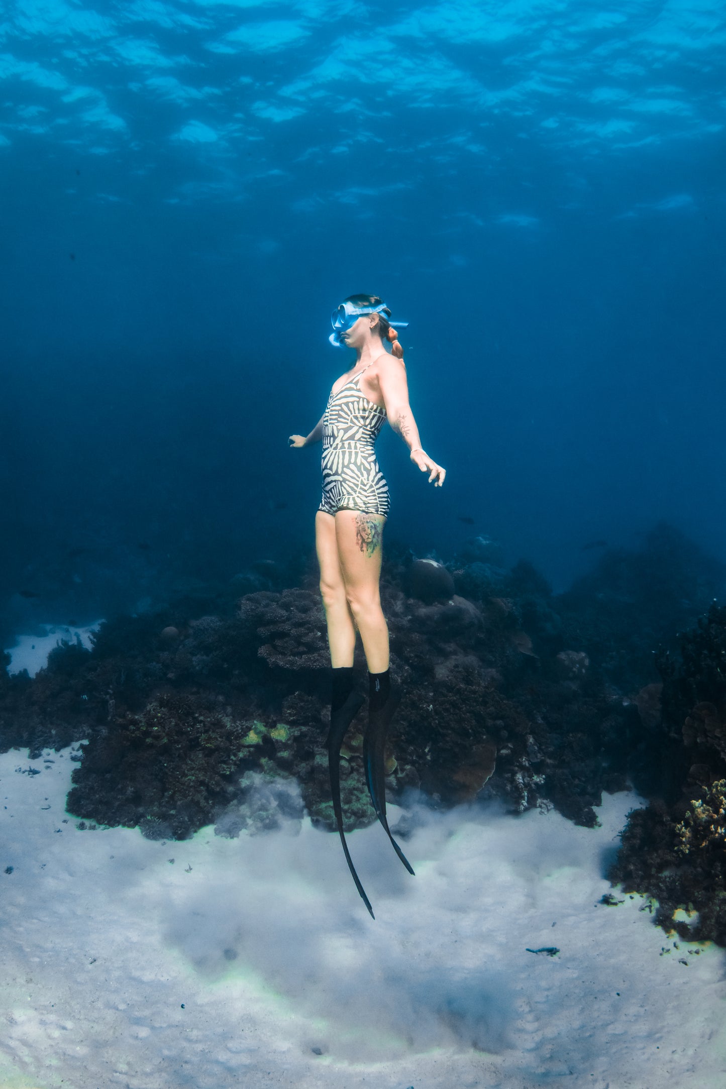Coral Bay Marine Wildlife Safari