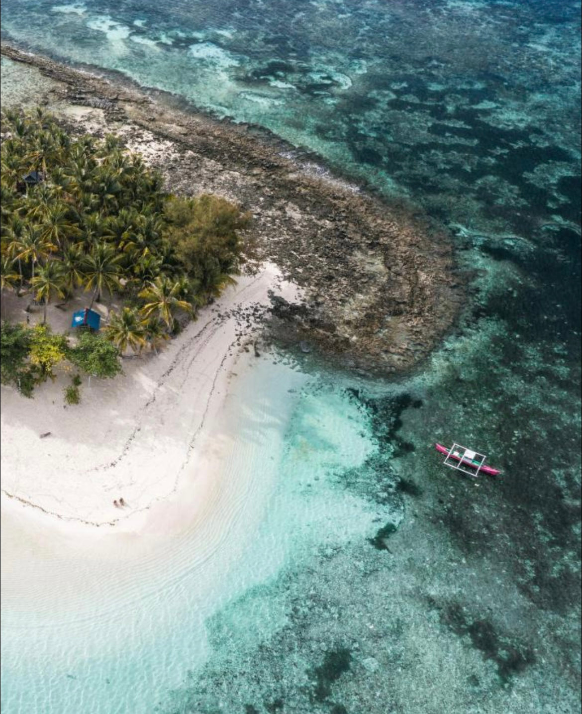 Philippines July 2026 Surf & Freedive Retreat