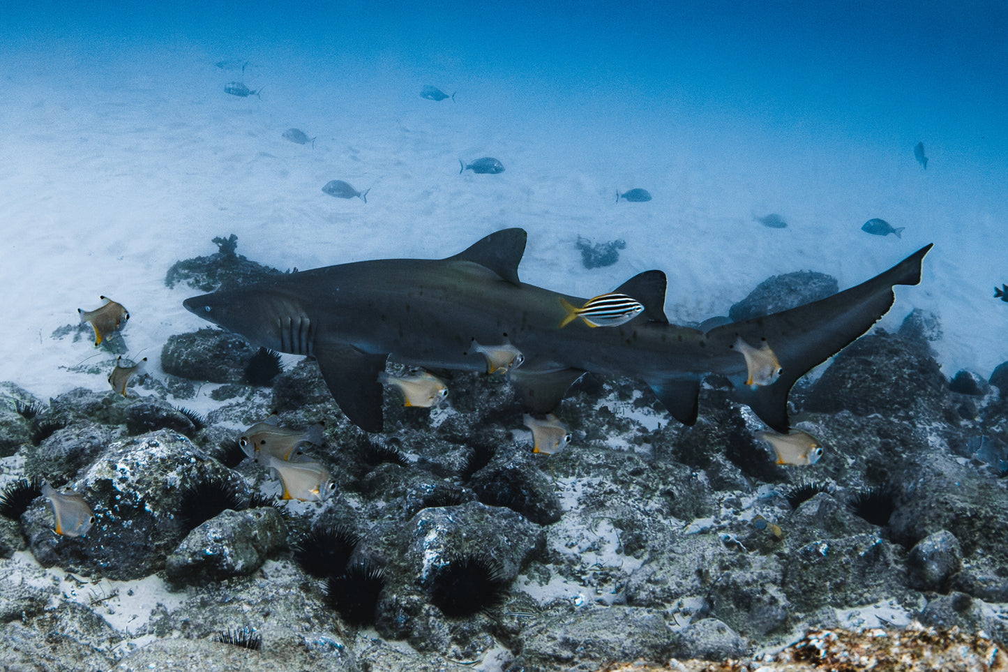 Seal Rocks Women’s Retreat