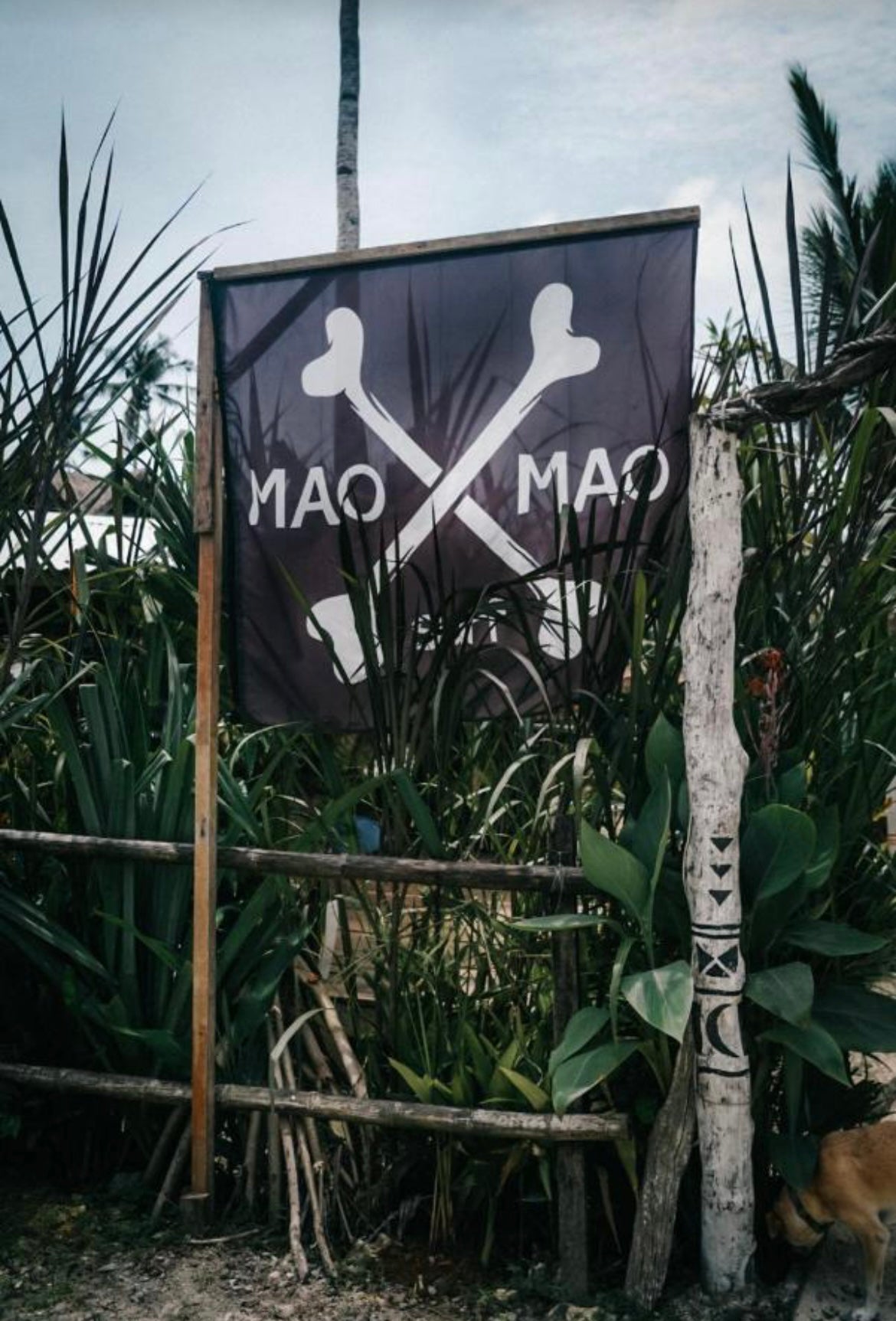 Philippines July 2026 Surf & Freedive Retreat