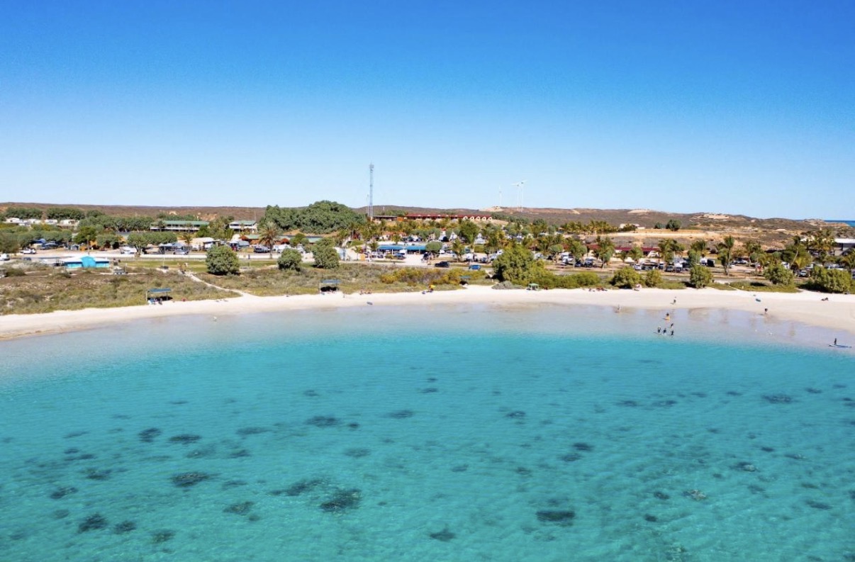 Coral Bay Marine Wildlife Safari