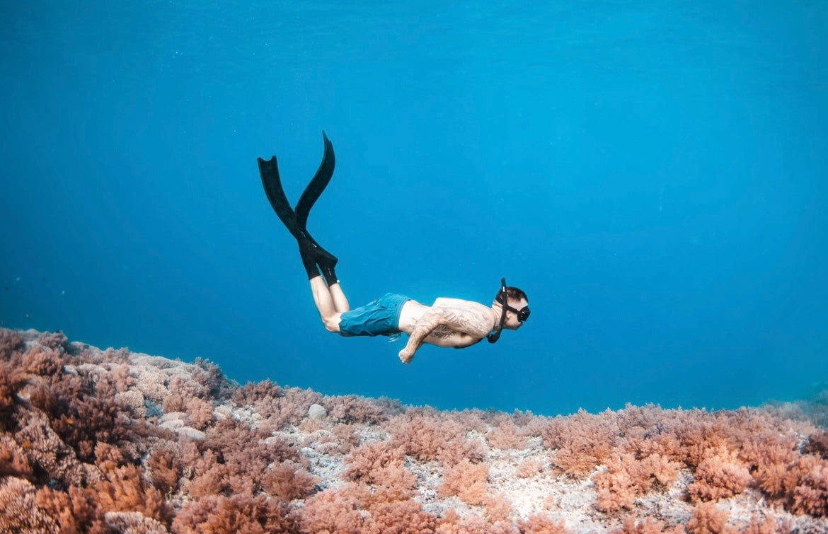 Philippines Surf & Freedive Retreat (2nd Wave) - February 2026