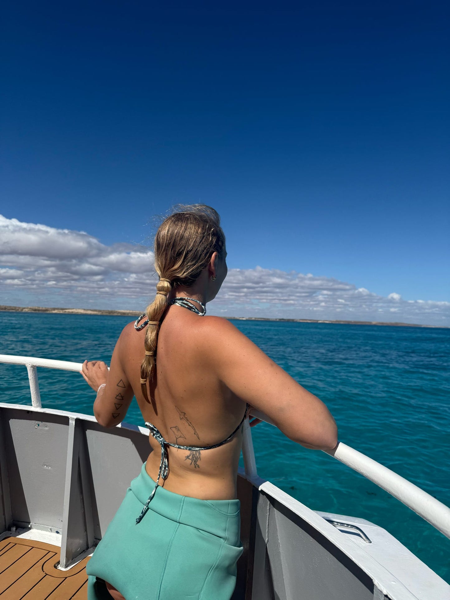 Coral Bay Marine Wildlife Safari