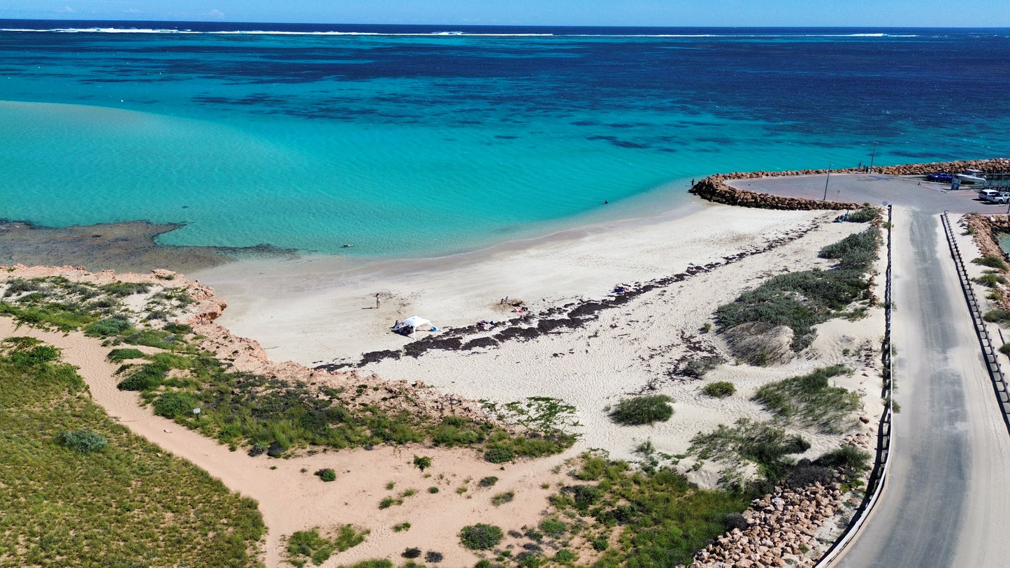 Coral Bay Marine Wildlife Safari