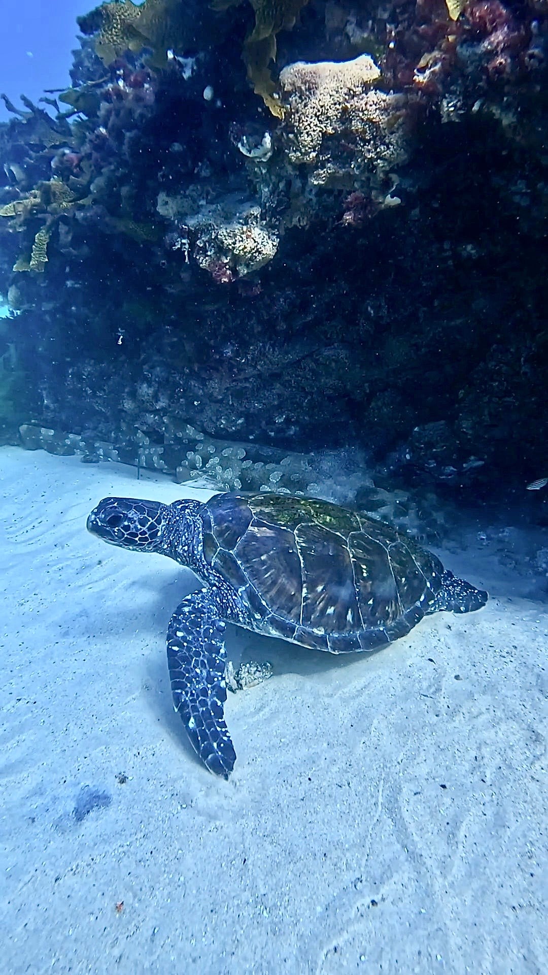 Seal Rocks Women’s Retreat