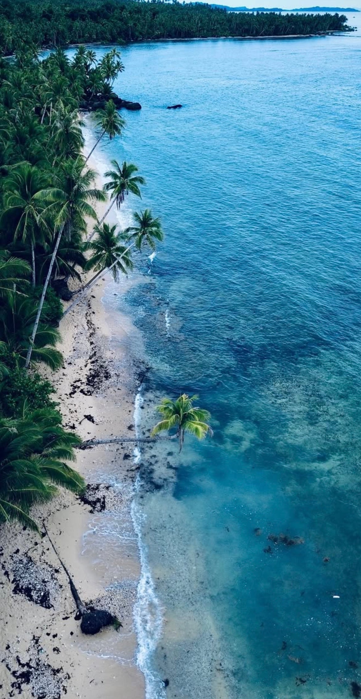 Philippines Surf & Freedive Retreat (2nd Wave) - February 2026