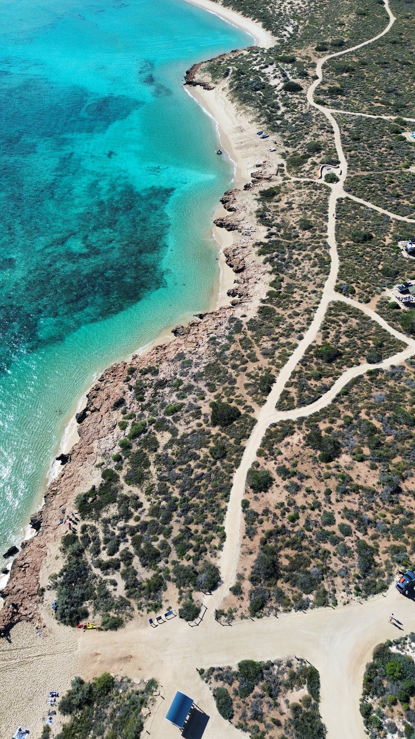 Coral Bay Marine Wildlife Safari