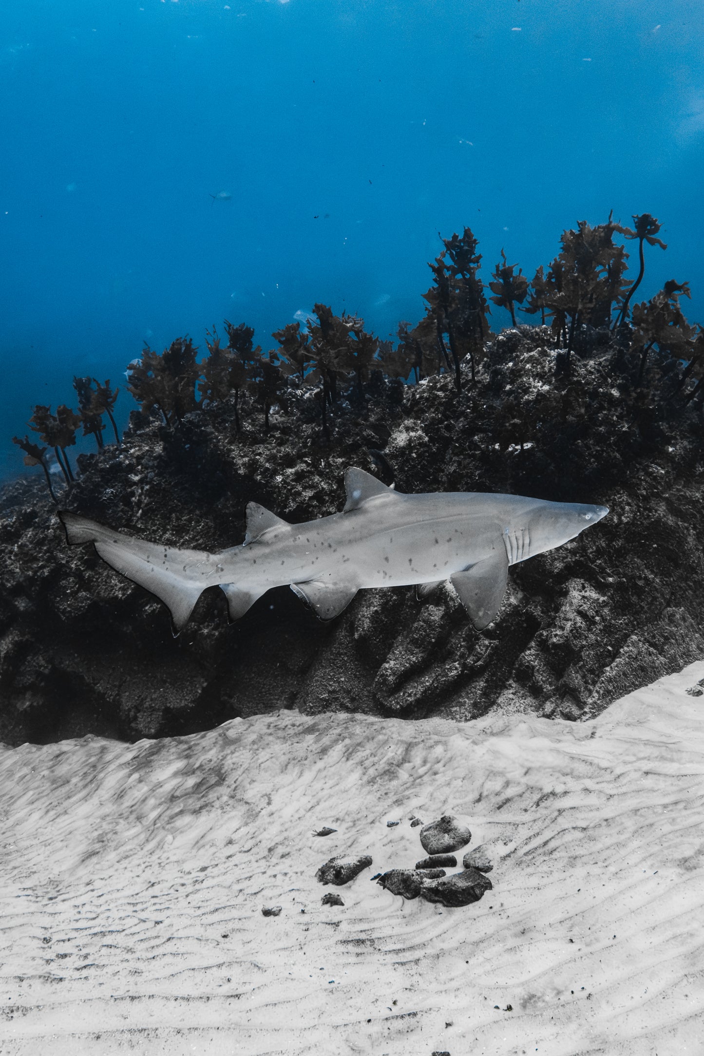 Seal Rocks Women’s Retreat