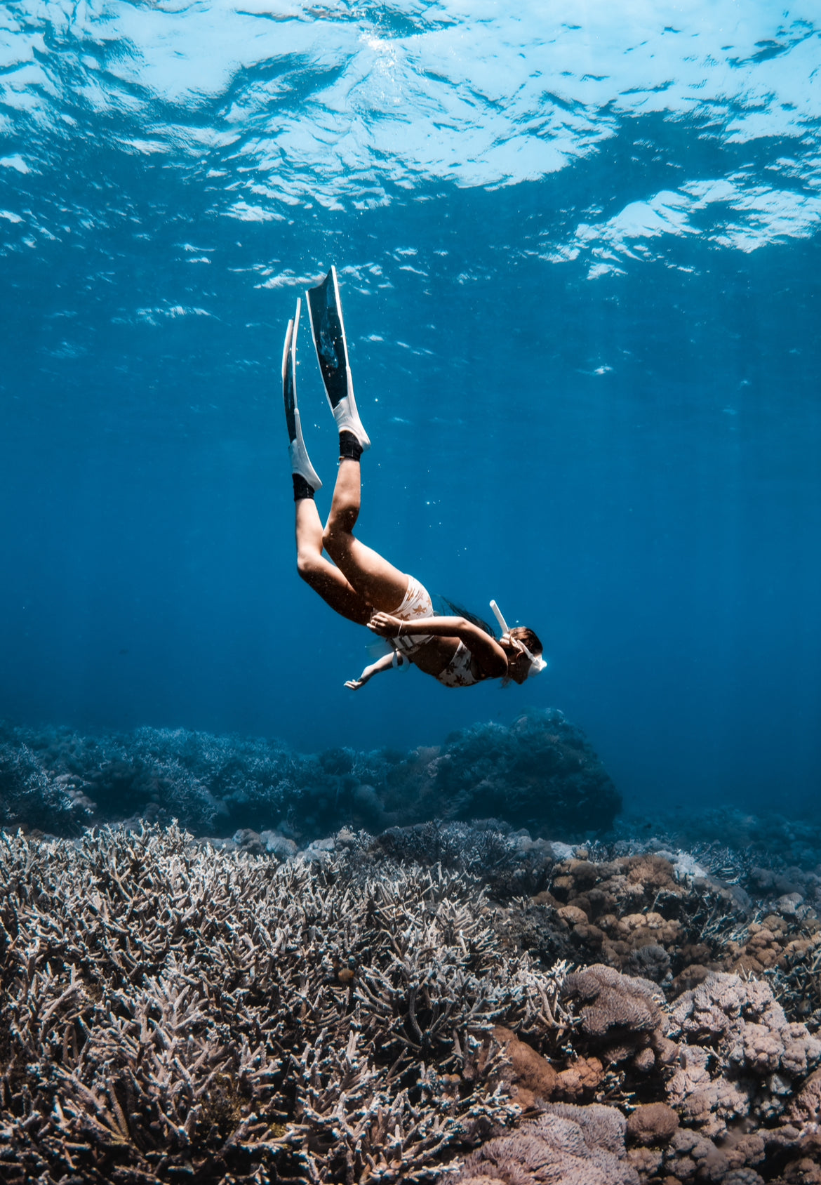 Philippines July 2026 Surf & Freedive Retreat