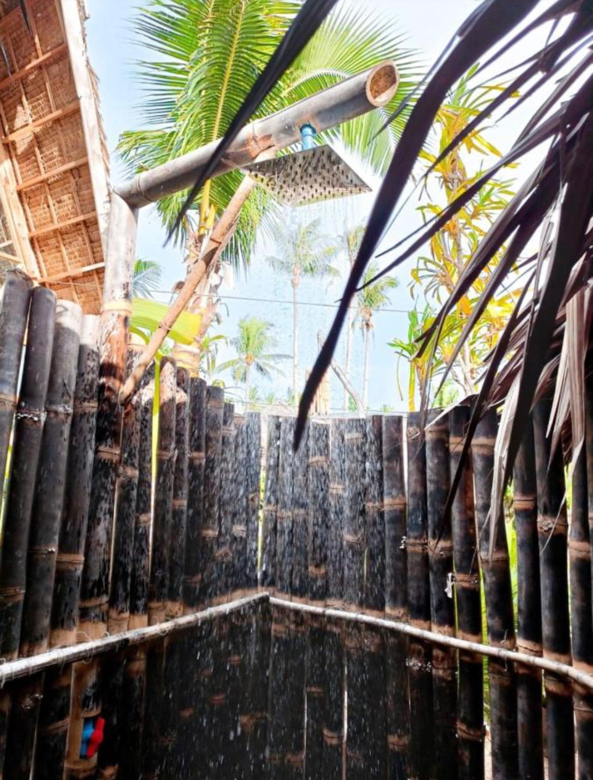 Philippines Surf & Freedive Retreat (2nd Wave) - February 2026