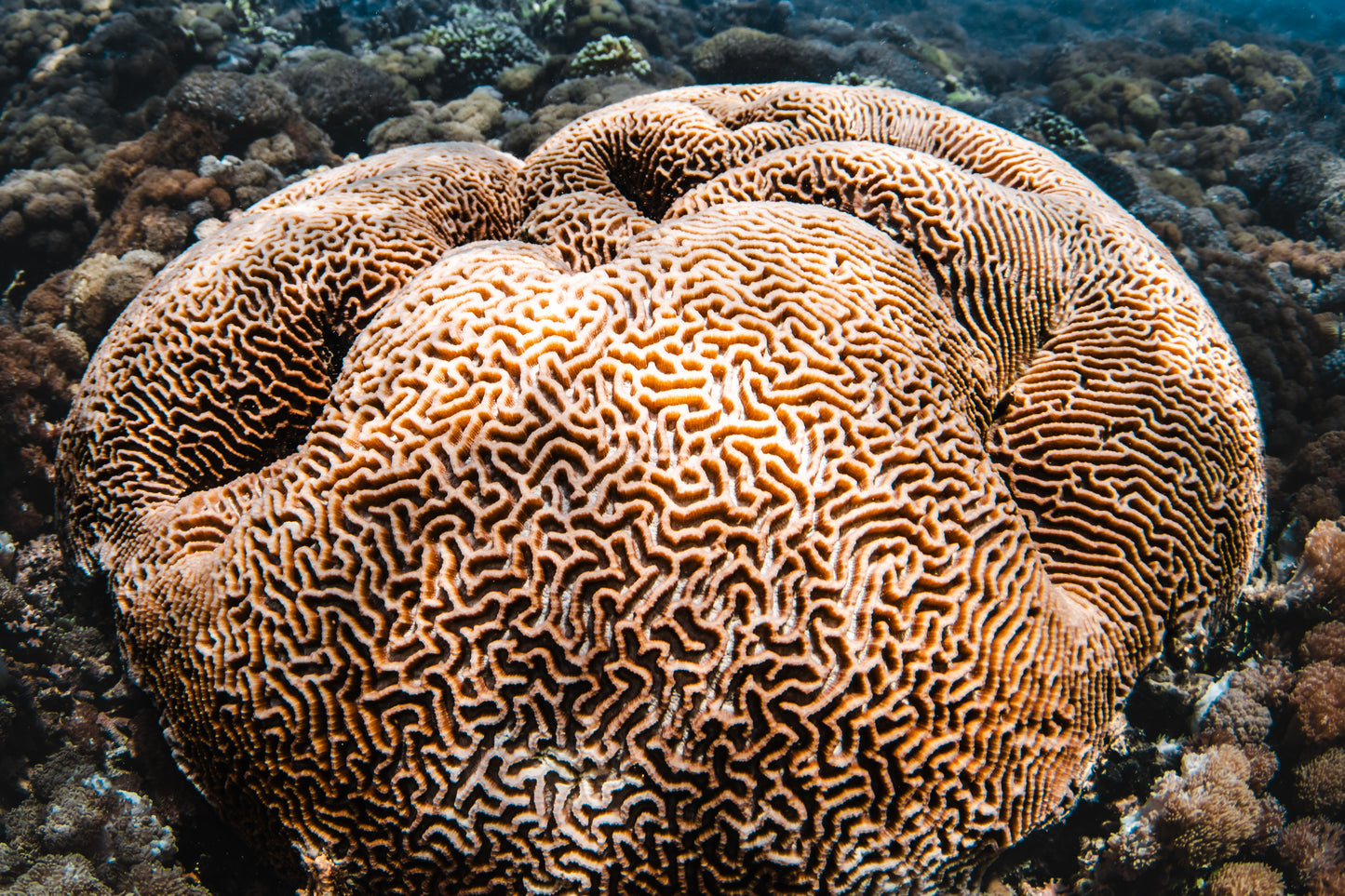 Gili Air & Lombok Island Hopper Retreat
