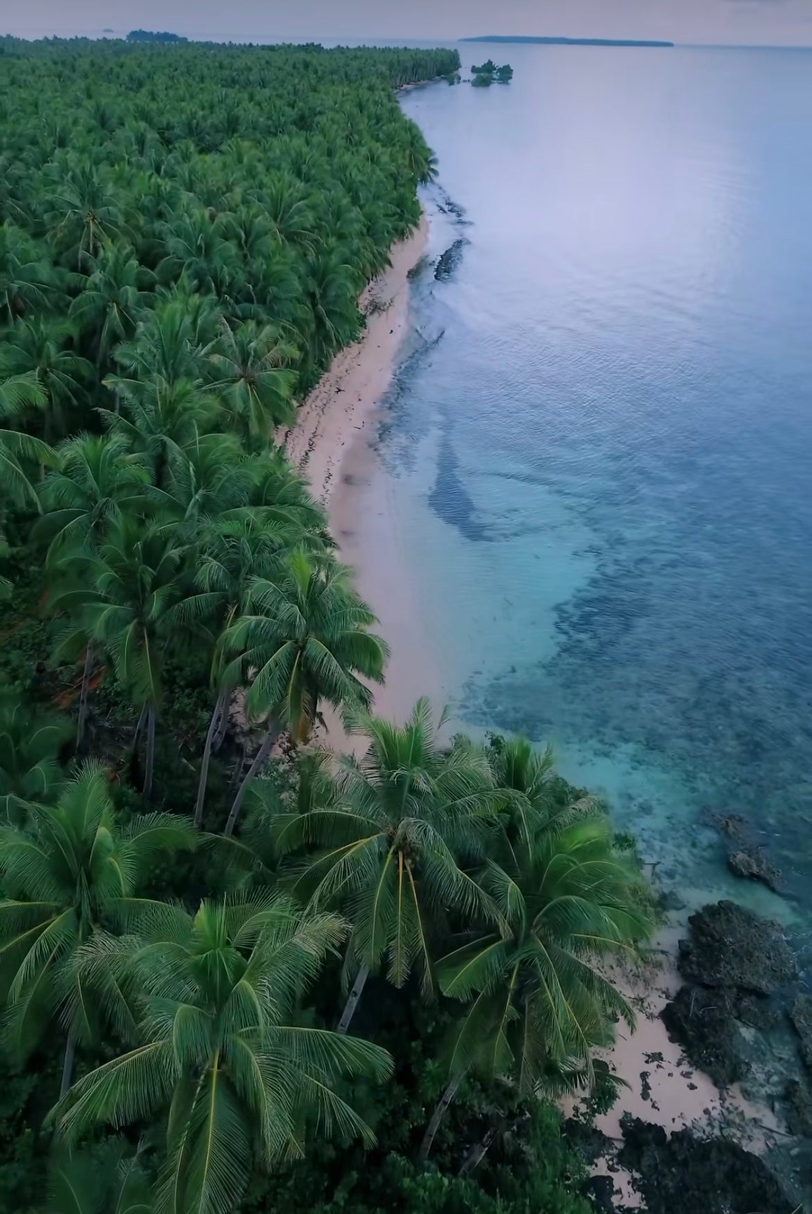 Philippines Surf & Freedive Retreat (2nd Wave) - February 2026