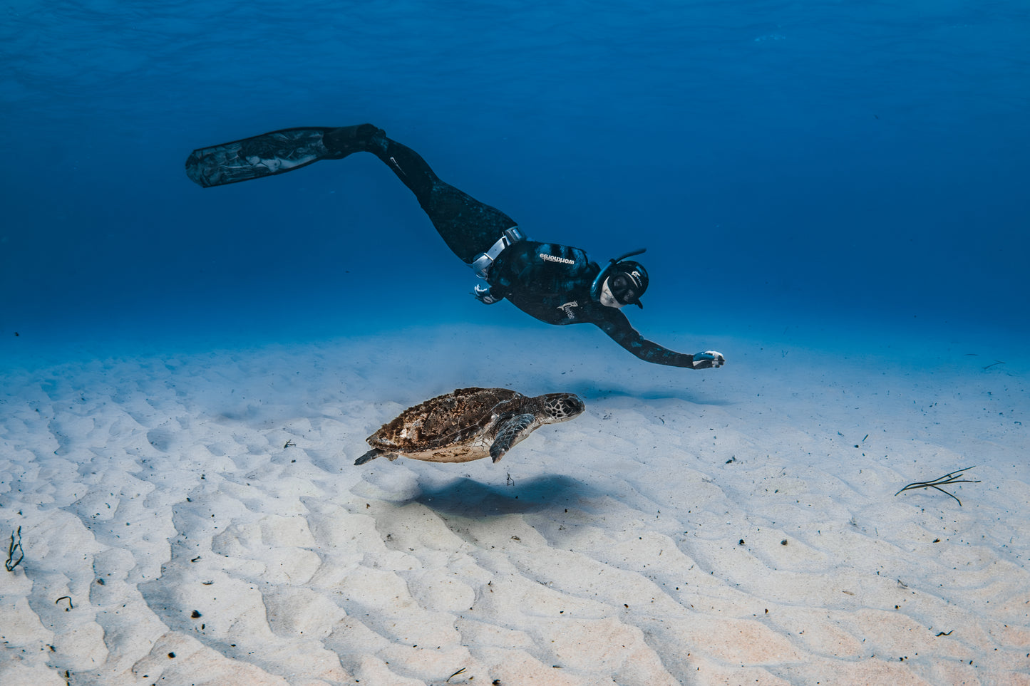 Seal Rocks Women’s Retreat