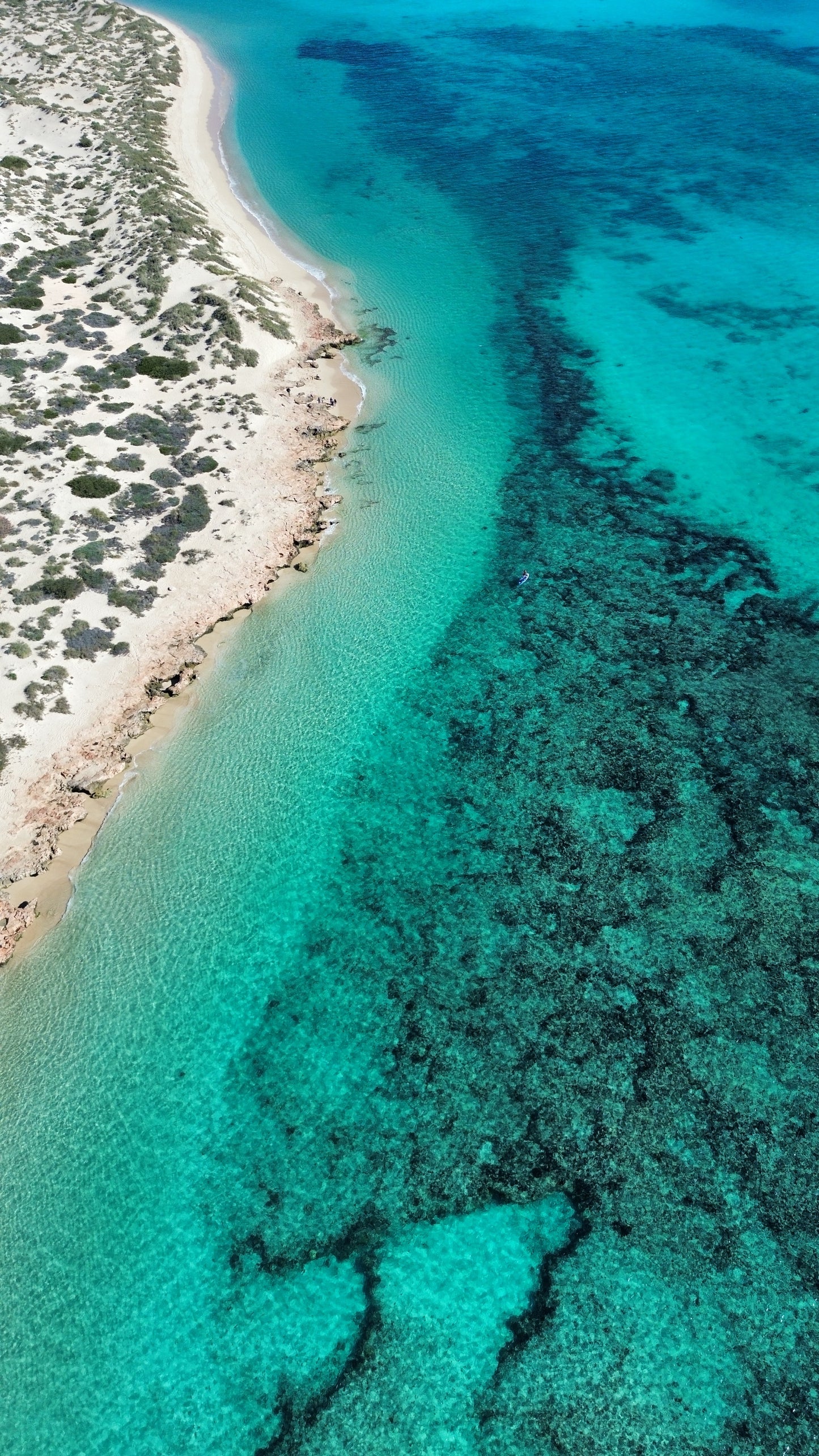 Coral Bay Marine Wildlife Safari