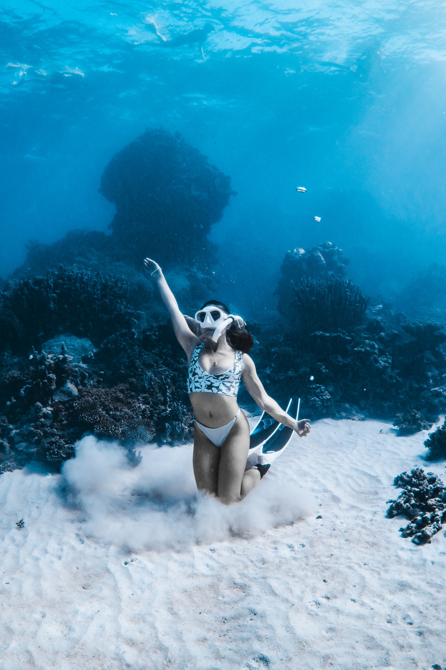 Coral Bay Marine Wildlife Safari