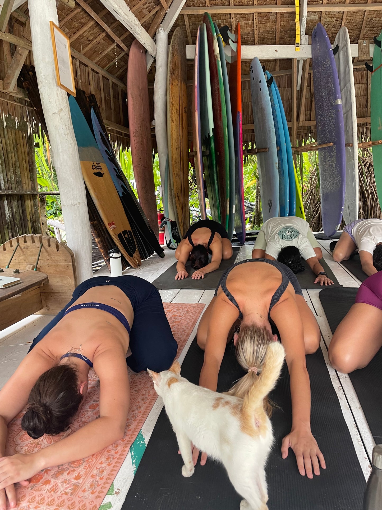 Philippines Siargao Women’s Surf Retreat - April 2027